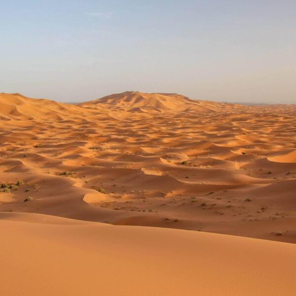 The vast Sahara desert of Merzouga with the 4-day tour from Ouarzazate to Fes.