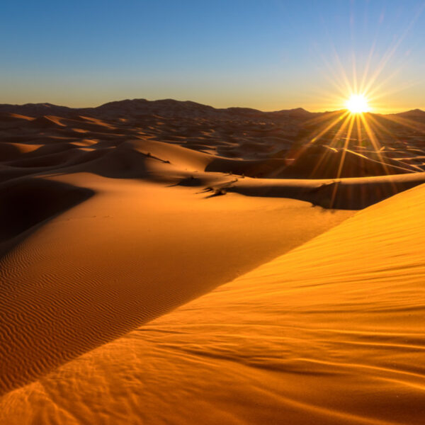 Sunrise over the golden dunes of Merzouga in Morocco.