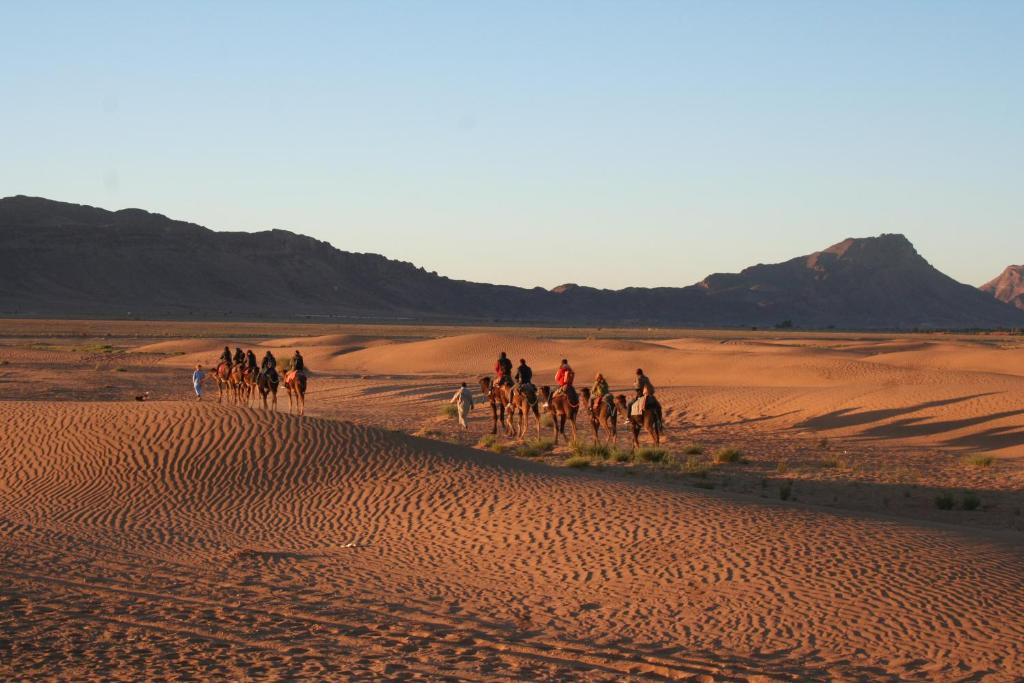 Desierto de Zagora y paseo en camello: comparación con Merzouga