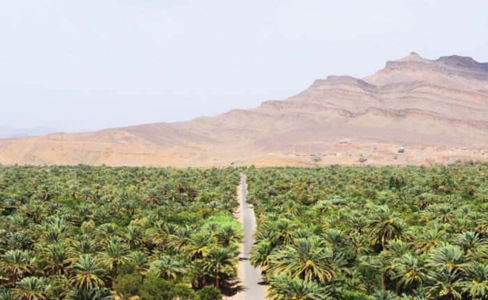 Ziz Valley during our 3-day tour from Ouarzazate to Fes.