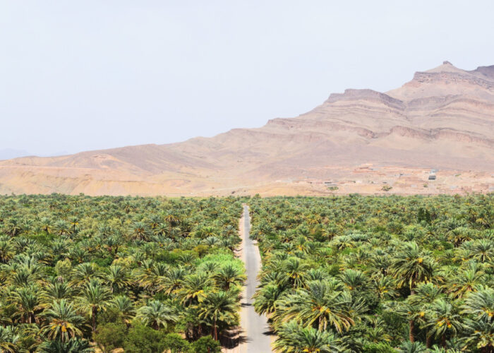 Valle dello Ziz durante il nostro tour di 3 giorni da Ouarzazate a Fes.