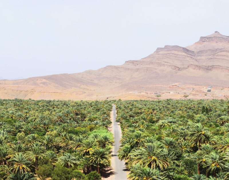 Valle dello Ziz durante il nostro tour di 3 giorni da Ouarzazate a Fes.