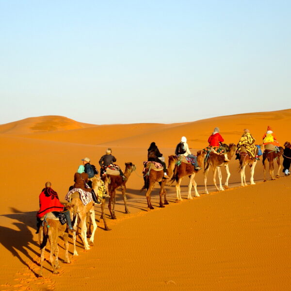 Una caravana de camellos en el desierto del Sáhara durante el viaje de 4 días de Marrakech a Tánger.