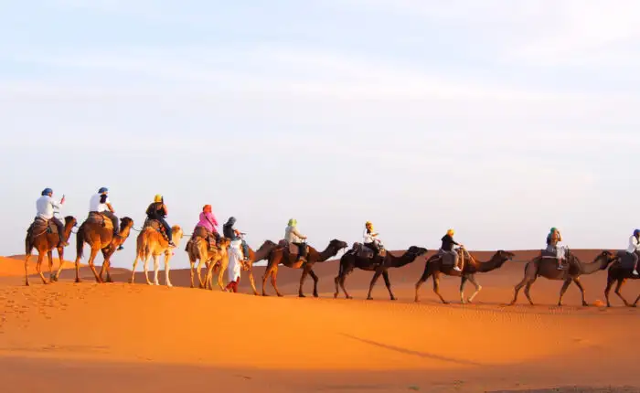 Una caravana de camellos en el desierto de Merzouga durante el viaje de 5 días de Fez a Marrakech.