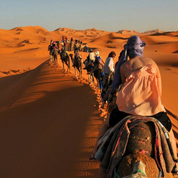 Travelers riding camels across the Merzouga desert with the 8 tour from Marrakech.