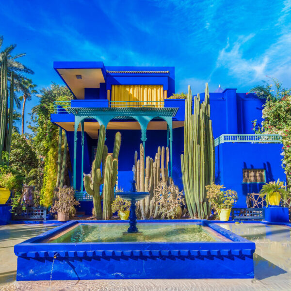 Majorelle Garden in Marrakech, sites of the guided tour