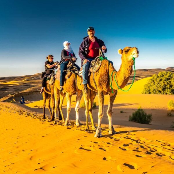 Viaggiatori a cavallo di cammelli a Merzouga durante il tour di 6 giorni da Agadir.