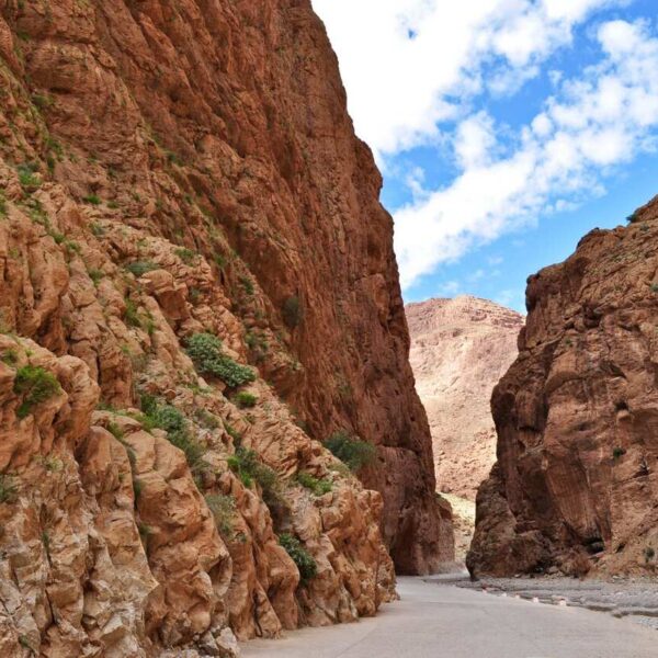 Todra gorges in Morocco.