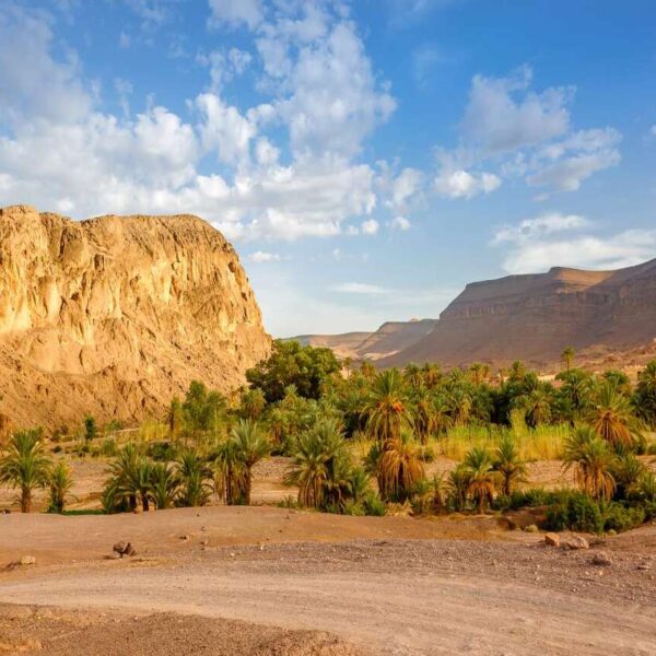 The Atlas Mountains with the palm trees.