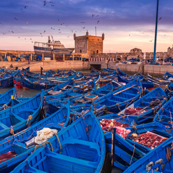 El puerto de Essaouira con sus barcos azules: una atracción de la excursión de un día desde Marrakech.