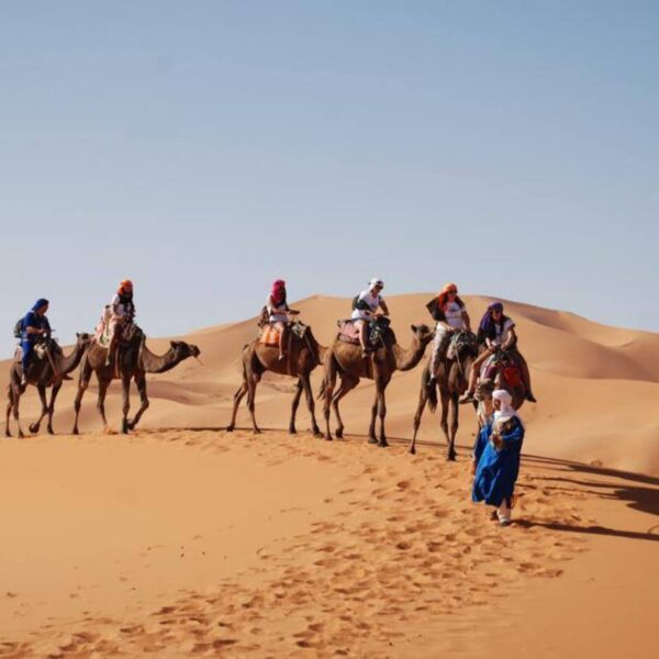 A camel Caravan in the Merzouga desert during the 3-day tour from Agadir to Marrakech.