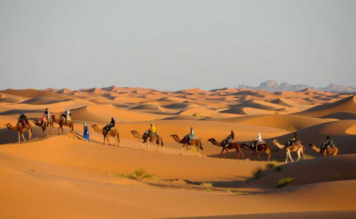 Caravana de camellos en el desierto de Merzouga durante la ruta de 12 días por Marruecos desde Tánger.