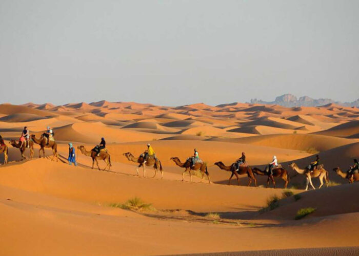 Caravana de camellos en el desierto de Merzouga durante la ruta de 12 días por Marruecos desde Tánger.