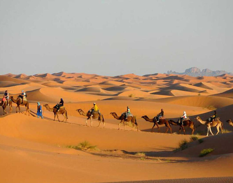 Caravana de camellos en el desierto de Merzouga durante la ruta de 12 días por Marruecos desde Tánger.