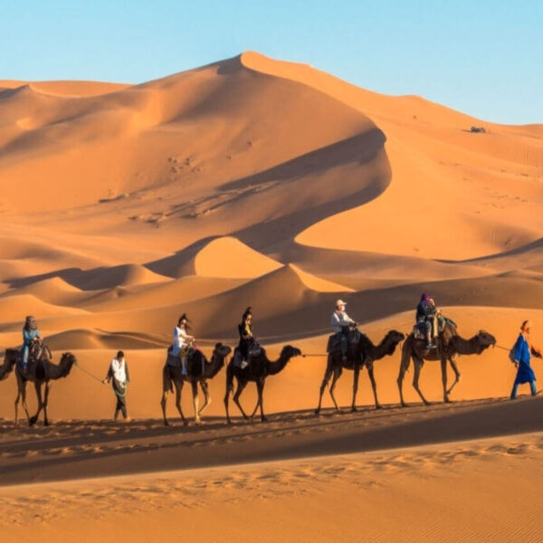 Una carovana di cammelli nel deserto di Merzouga durante il tour di 17 giorni in Marocco.