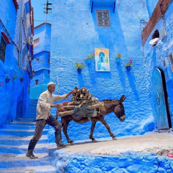 Un hombre con su burro paseando por las calles azules de Chefchaouen.