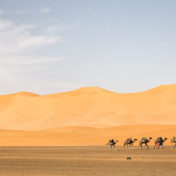 Sullo sfondo una carovana di cammelli e le grandi dune di sabbia dell'Erg Chebbi.