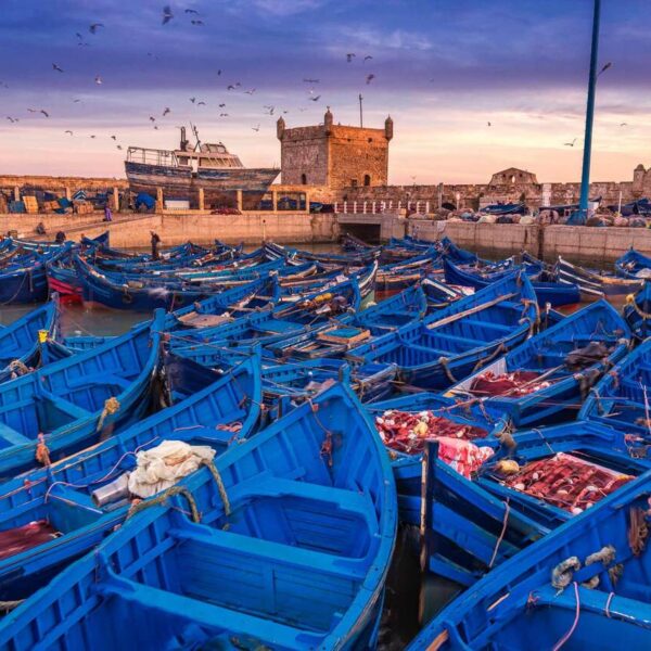 Barche blu a Essaouira durante il viaggio di 10 giorni da Fes.