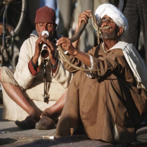 Dos encantadores de serpientes en Marrakech jugando con serpientes.