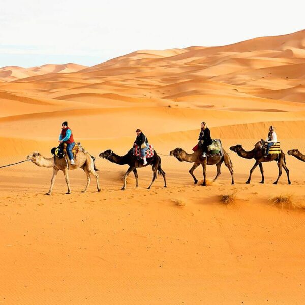 Una caravana de camellos de 4 personas en el desierto sahariano de Merzouga durante el viaje de 12 días desde Fez.