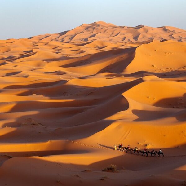 A camel caravan in the middle of the Sahara desert with our 3-day tour from Tetouan.