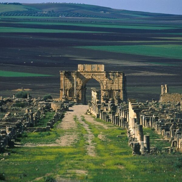 Volubilis or the Roman ruins in Morocco during the day trip from Fes.