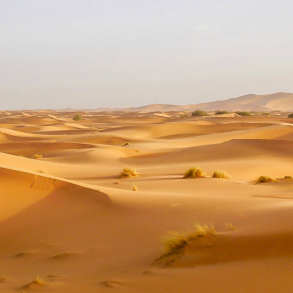 Desierto del Sáhara Merzouga en Marruecos: una atracción del viaje de 4 días desde Essaouira.