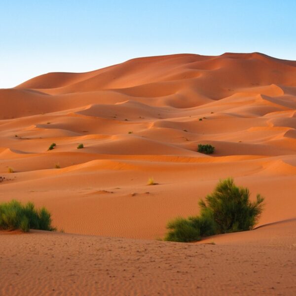 The golden sand dunes of Merzouga during the 2-day Marrakech to Fes desert tour.