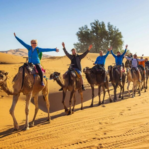 A camel caravan with happy people raising their hands in the air.