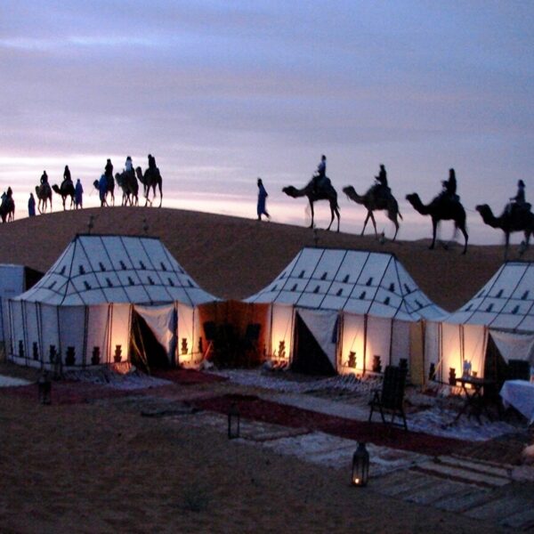 Merzouga desert camp and the silhouettes of Camels during evening time.