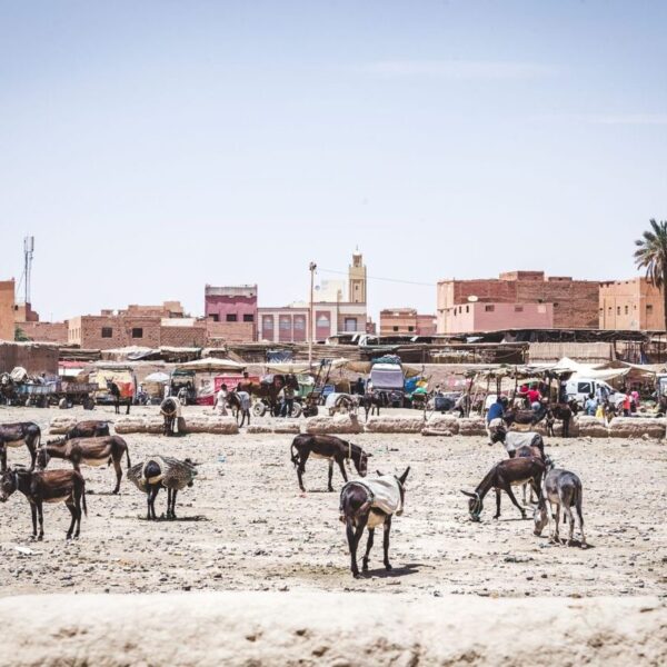 Aparcamiento de un burro en Rissani, Marruecos.