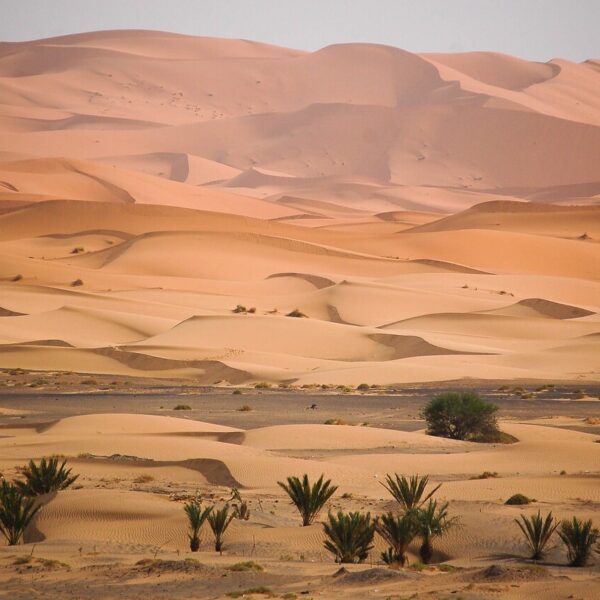 Las dunas de Erg Chebbi, en Merzouga: una atracción del viaje de 3 días por el desierto desde Tánger.