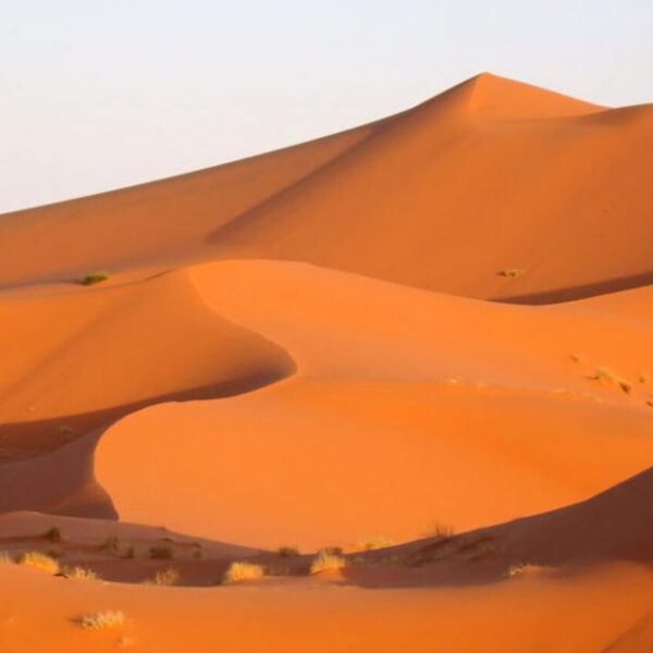 Golden dune in Merzouga, Morocco.