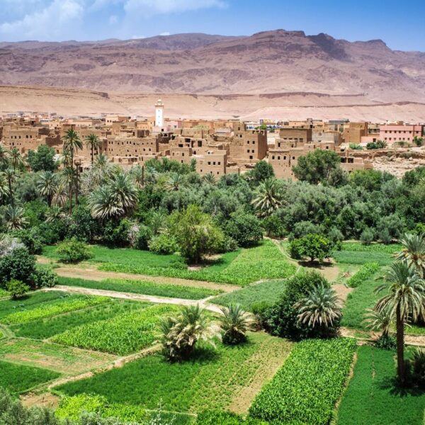 The valley of Dades with palm tress and old buildings.