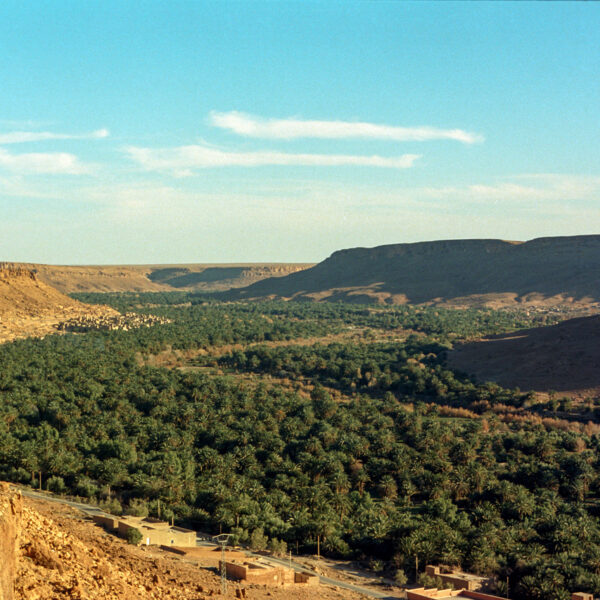 The vast Ziz valley in Morocco.