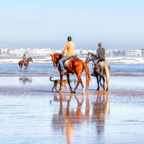 3 personas montando a caballo en la playa de Essaouira.