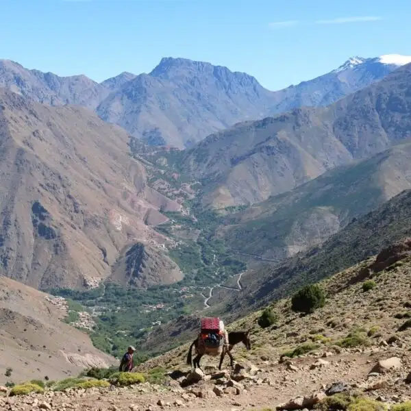 The Atlas mountains in Morocco.