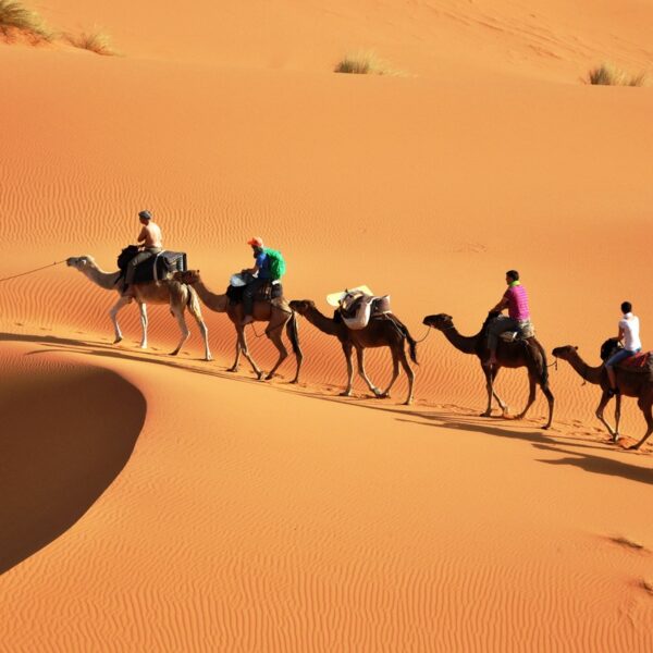 Una caravana de camellos en el desierto de Merzouga durante el itinerario turístico de dos semanas por Marruecos.