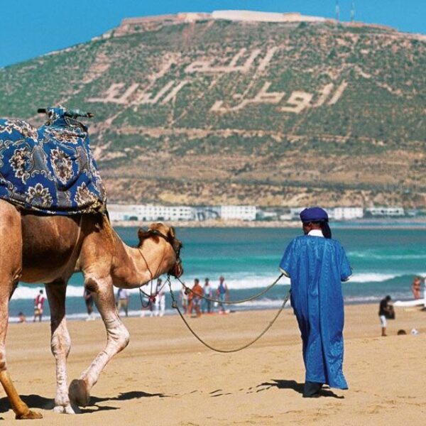 Una persona alla guida di un cammello ad Agadir, in Marocco