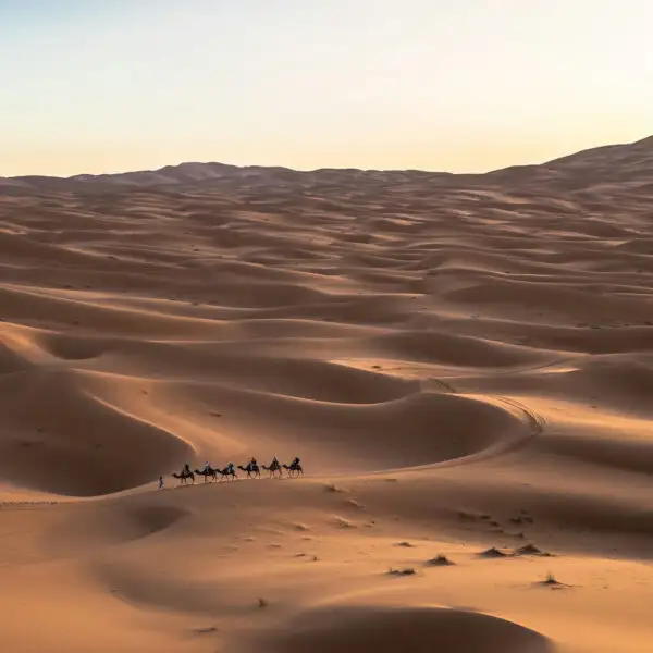 Gente haciendo una excursión en camello en Merzouga durante la excursión compartida desde Marrakech.